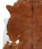 Brown and White Regular Cowhide Rug #28901