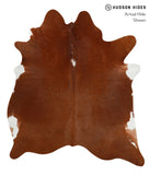 Brown and White Regular Cowhide Rug #29568