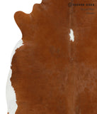 Brown and White Regular Cowhide Rug #29756