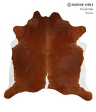 Brown and White Regular Cowhide Rug #29843