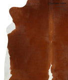 Brown and White Regular Cowhide Rug #29843