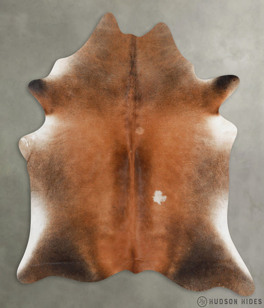 Brown with Red X-Large Cowhide Rug #30393