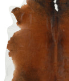 Brown with Red Cowhide Rug #30534