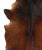 Brown with Red Cowhide Rug #38685