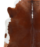 Brown and White Regular Cowhide Rug #38737