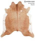 Brown and White Regular Cowhide Rug #39448