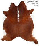 Brown and White Regular Cowhide Rug #40162