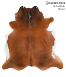 Brown and White Regular Cowhide Rug #40571