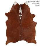 Brown and White Regular Cowhide Rug #40695