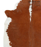 Brown and White Regular Cowhide Rug #41052