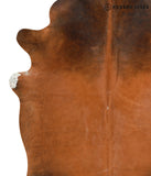 Brown with Red Cowhide Rug #41209