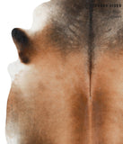 Brown with Red Cowhide Rug #41333