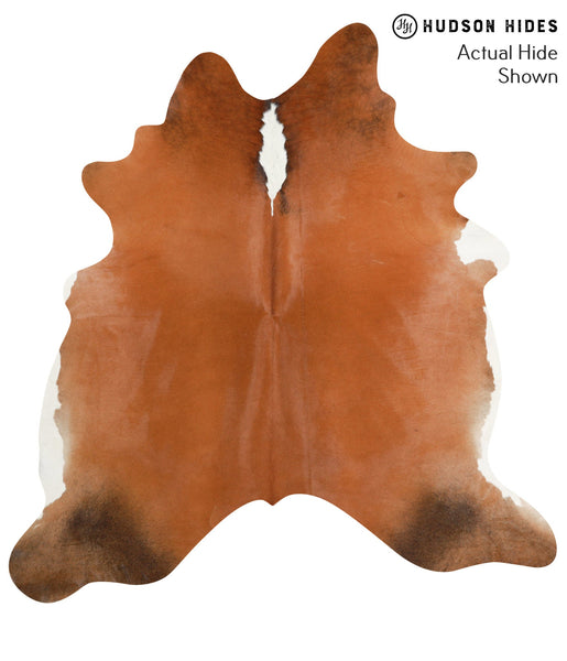Brown and White Regular Cowhide Rug #41472