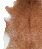 Brown with Red Cowhide Rug #41852