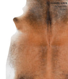 Brown with Red Cowhide Rug #41860