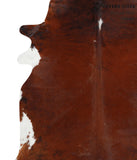 Brown and White Regular Cowhide Rug #41888