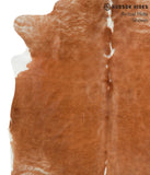 Brown and White Regular Cowhide Rug #42058