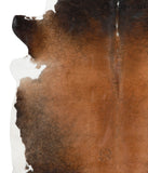 Brown with Red Cowhide Rug #42284