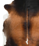 Brown with Red Cowhide Rug #42764