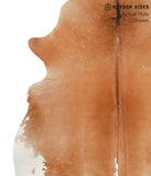 Brown and White Regular Cowhide Rug #48495