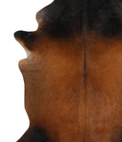 Brown with Red Cowhide Rug #48614