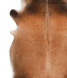 Brown with Red Cowhide Rug #49021