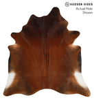Brown with Red Cowhide Rug #49228