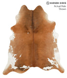 Brown and White Regular Cowhide Rug #49952