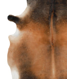Brown with Red Cowhide Rug #50469