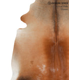 Brown with Red Cowhide Rug #50525