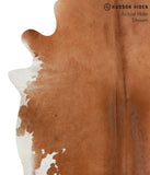 Brown and White Regular Cowhide Rug #50705