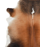 Brown with Red Cowhide Rug #50714