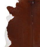 Brown and White Regular Cowhide Rug #51288