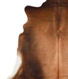 Brown with Red Cowhide Rug #65205