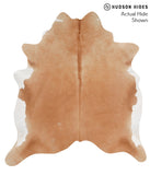 Brown and White Regular Cowhide Rug #65275