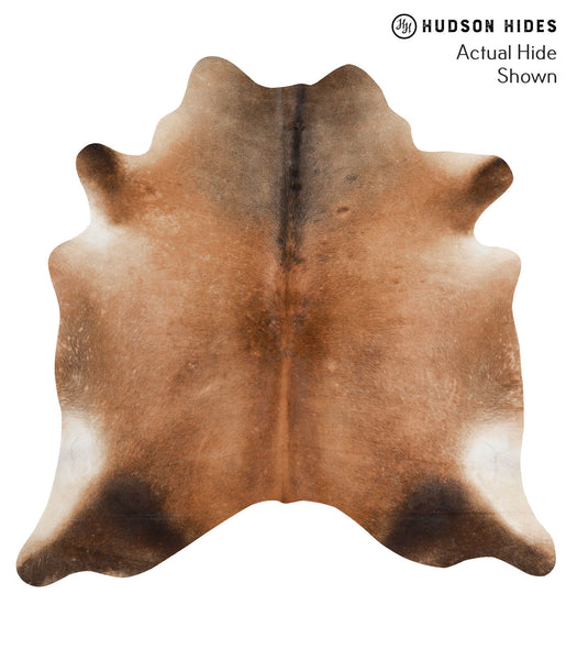 Brown with Red Cowhide Rug #65315
