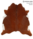 Brown and White Regular Cowhide Rug #65601