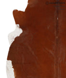 Brown and White Regular Cowhide Rug #65601