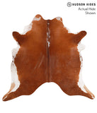 Brown and White Regular Cowhide Rug #65653