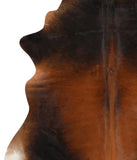 Brown with Red Cowhide Rug #65872