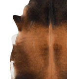Brown with Red Cowhide Rug #67344