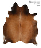 Brown with Red Cowhide Rug #83178