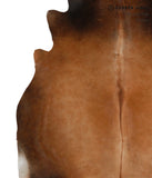Brown with Red Cowhide Rug #83178