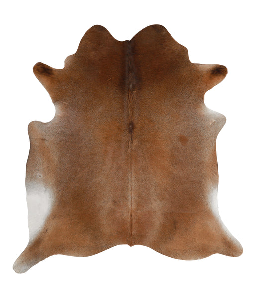 Warm Caramel Cowhide Rug #85391HUDSN