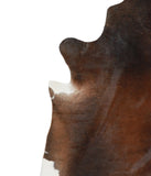 Brown with Red Cowhide Rug #A15940R