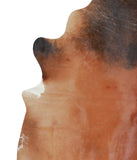 Brown with Red Cowhide Rug #A16371R