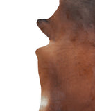 Brown with Red Cowhide Rug #A16420