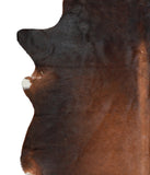 Brown with Red Cowhide Rug #A17003