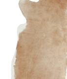 Beige and White Cowhide Rug #A20942