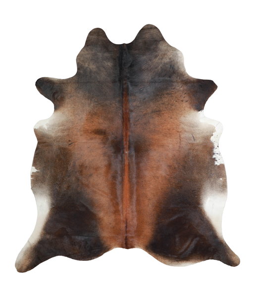 Brown with Red Cowhide Rug #A21049